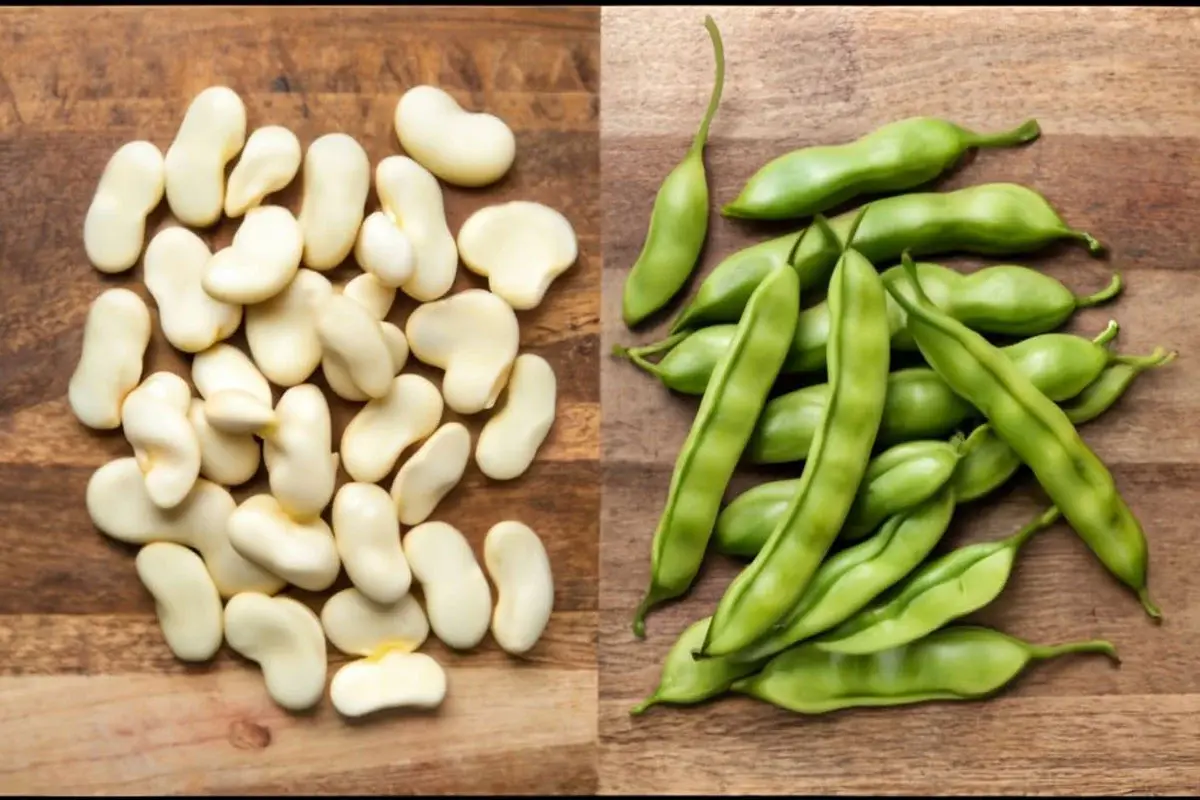 butter_beans_and_lima_bean